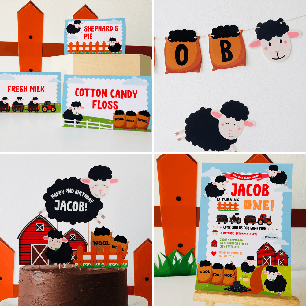 Baa Baa Black Sheep Party Decorations Kit