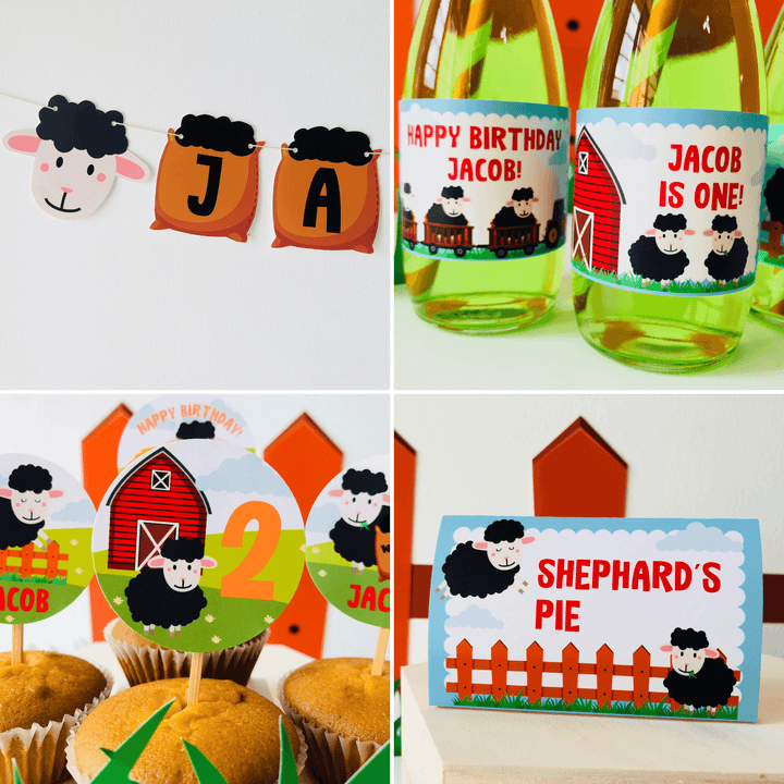 Baa Baa Black Sheep Party Decorations Kit