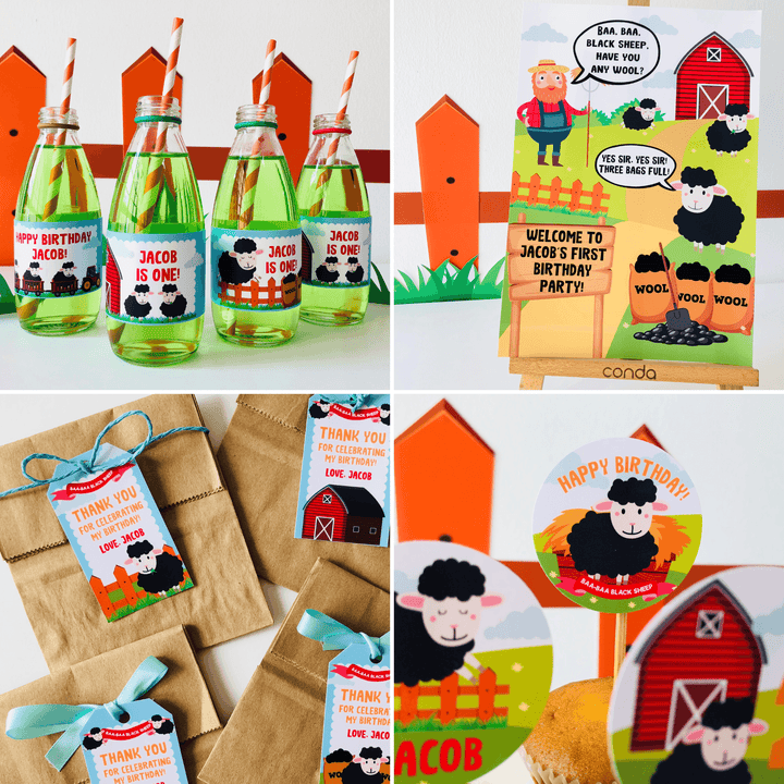Baa Baa Black Sheep Party Decorations Kit