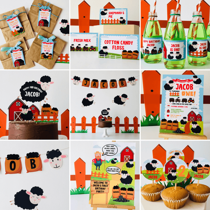 Baa Baa Black Sheep Party Decorations Kit