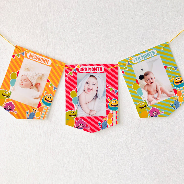 Baby Monthly Milestone Banner