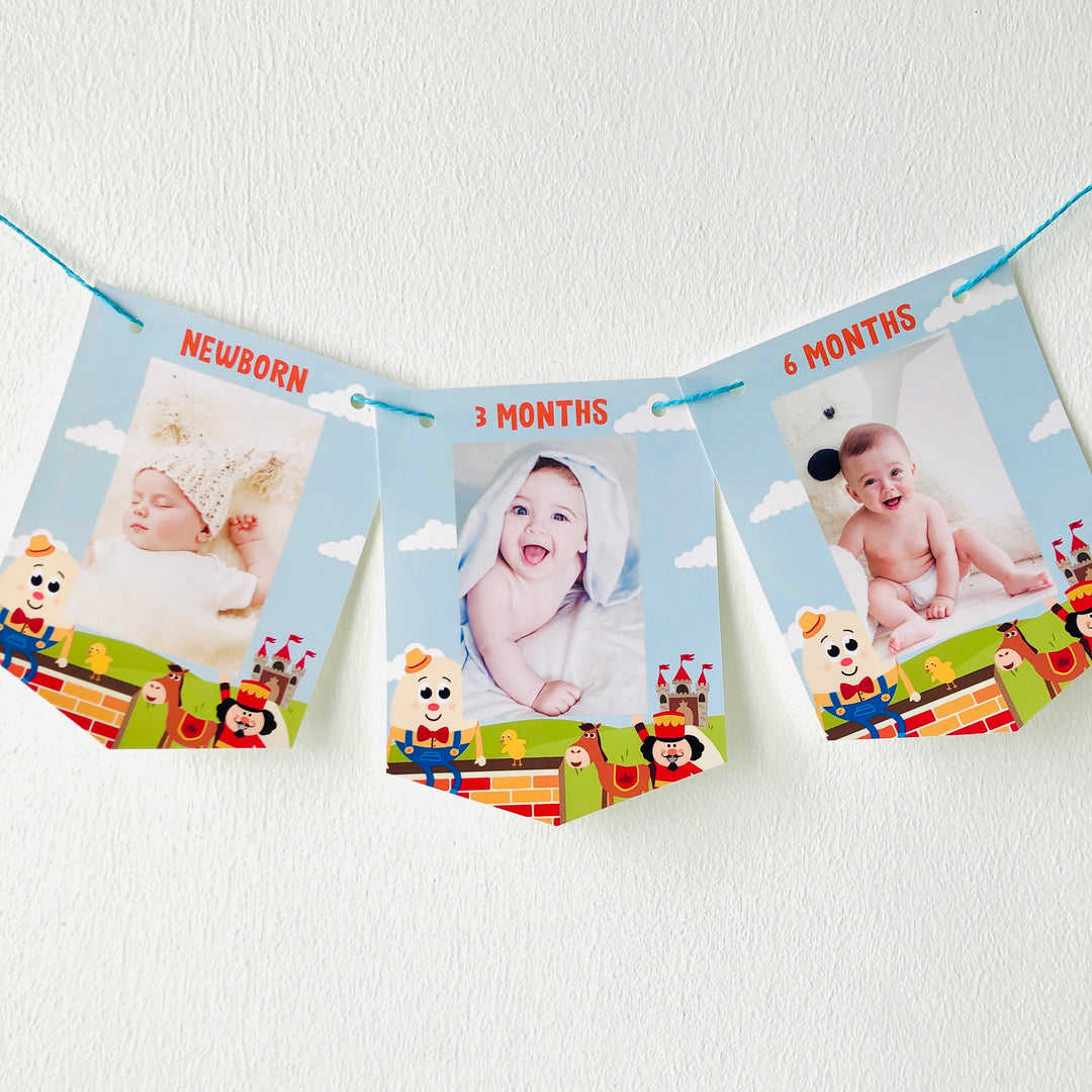 First Birthday Baby Monthly Milestone Banner