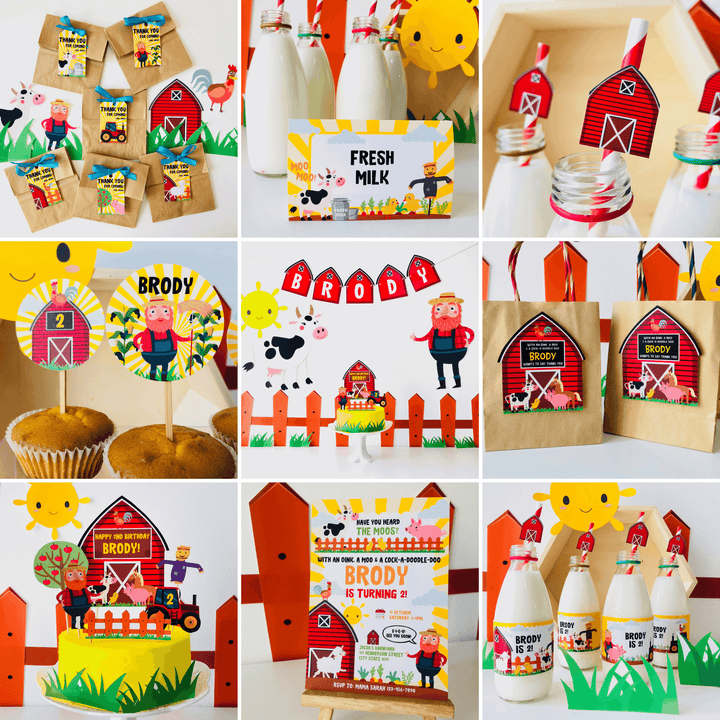 Old Macdonald Farm Party Decorations Kit