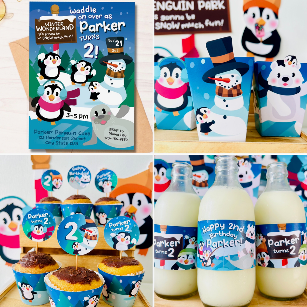 Penguin Wonderland Party Decorations Kit
