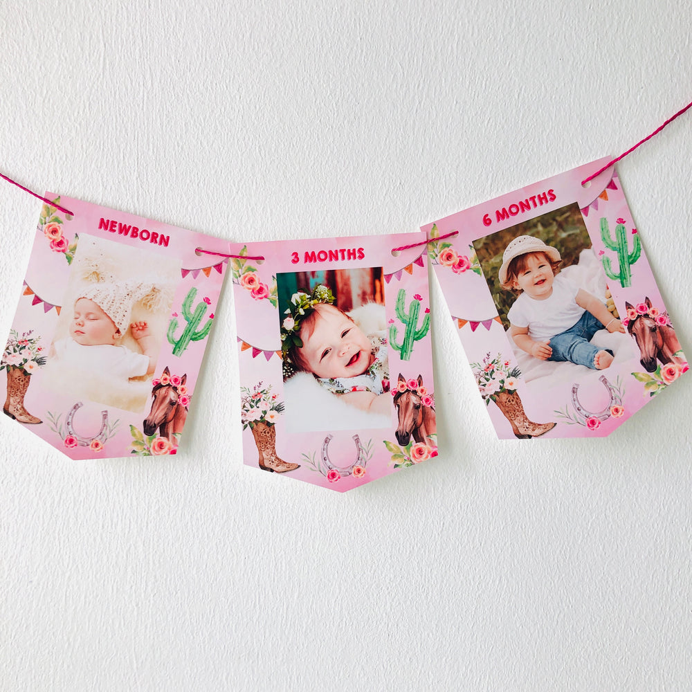 Horse Birthday Baby Monthly Milestone Photo Banner