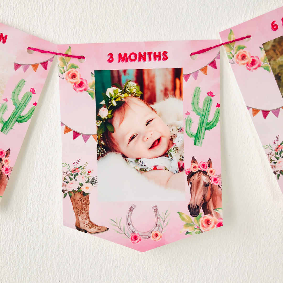 Horse Birthday Baby Monthly Milestone Photo Banner