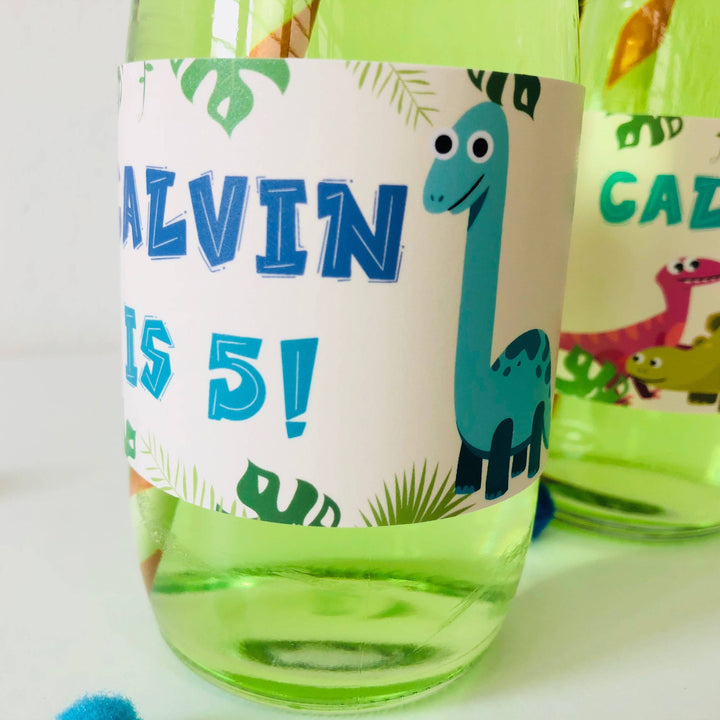 Dino Bottle Stickers